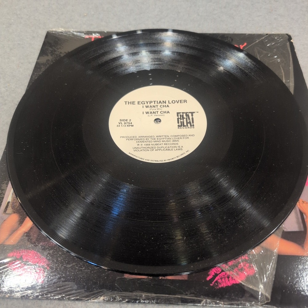 The Egyptian Lover DSL'S I Want Cha 12" Vinyl Single 1988 NuBeat VL 9754 VG - Picture 3 of 6
